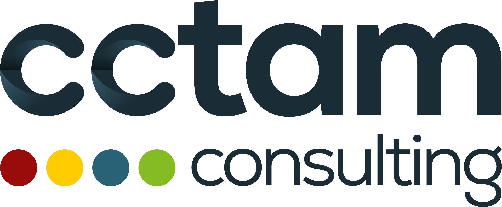Logo de CCTAM Consulting